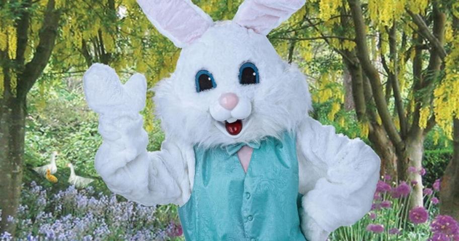 easter bunny waving at camera