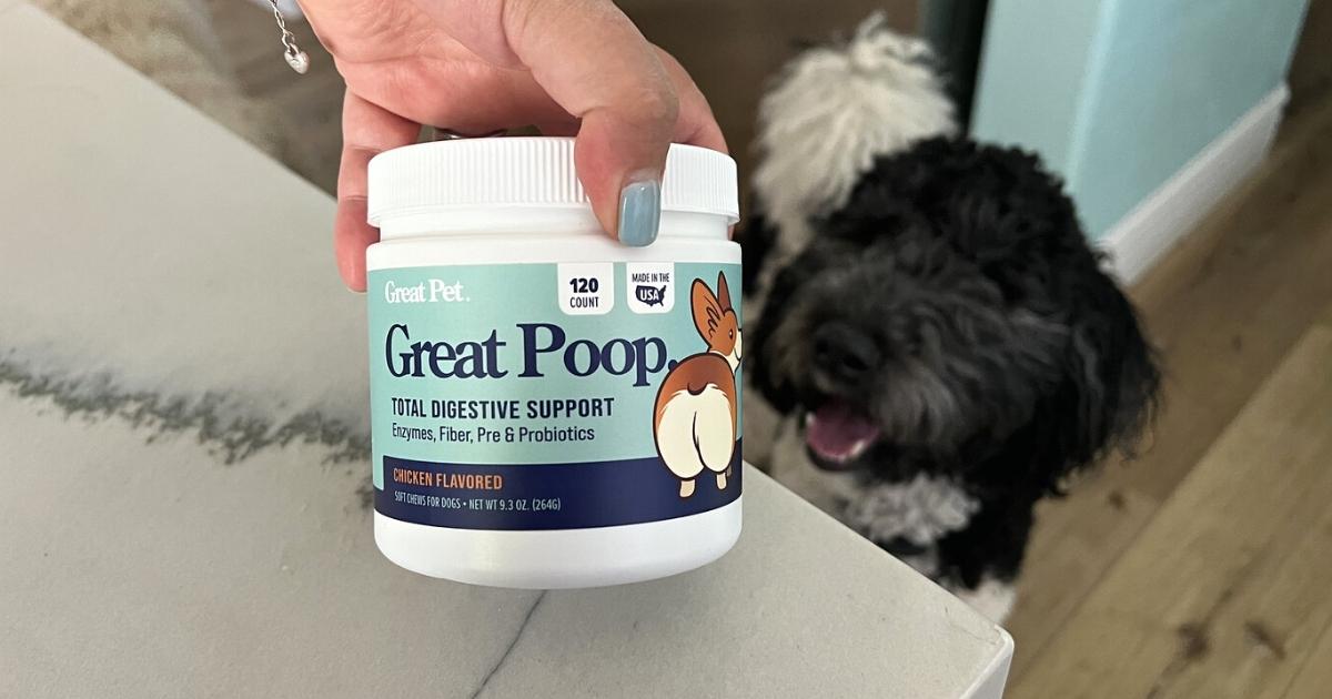 Over the counter probiotics clearance for dogs