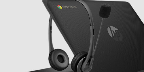 HP Stereo Headset w/ Mic ONLY $5 Shipped (Regularly $20)