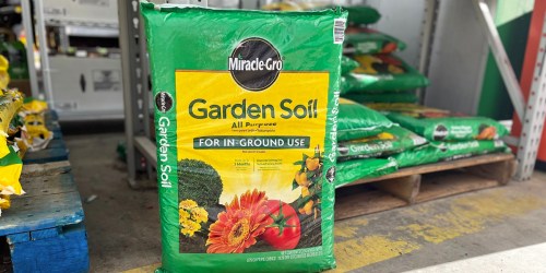 Miracle-Gro All Purpose Garden Soil Only $2.29 at Lowe’s (Regularly $5)