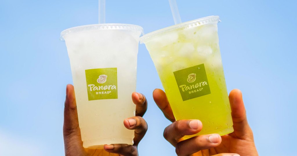 hands holding two panera drinks