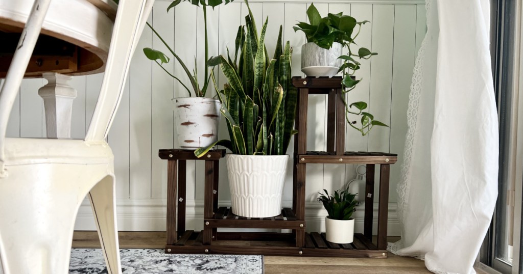wooden plant stand on display in-home