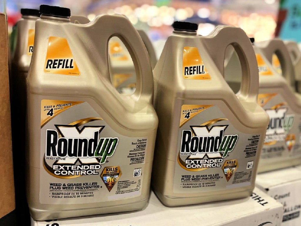 Roundup Extended Control Ready to Use Weed and Grass Killer 