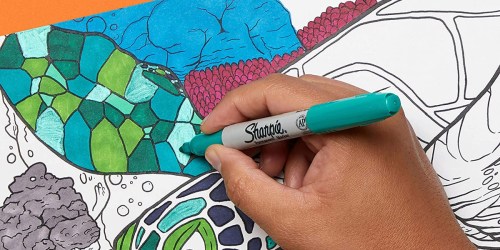 Sharpie Permanent Markers 60-Count Only $23 on Walmart.com (Reg. $40) | Just 38¢ Each!