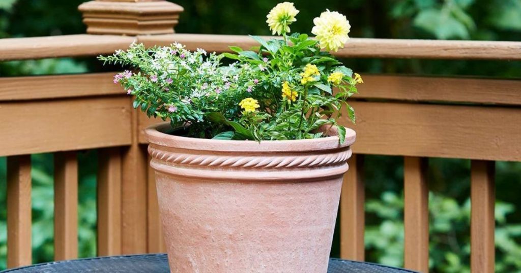 planter with flowers in it