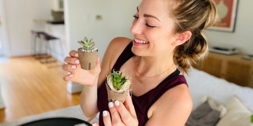** Succulent Studios Coupon Code = Two Baby Succulents for ONLY $5 Shipped (Fun Gift Idea)