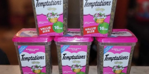 Temptations Cat Treats 16oz Container Only $5.68 Shipped on Amazon (Regularly $9)