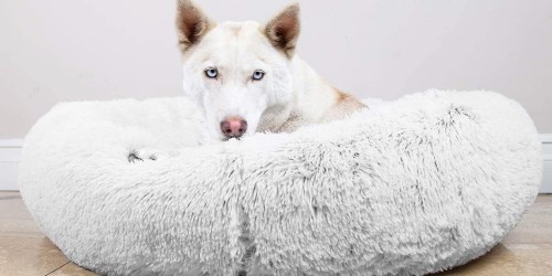 The Original Calming Donut Dog Bed Only $24.99 on Amazon (Regularly $60) | Team Fave