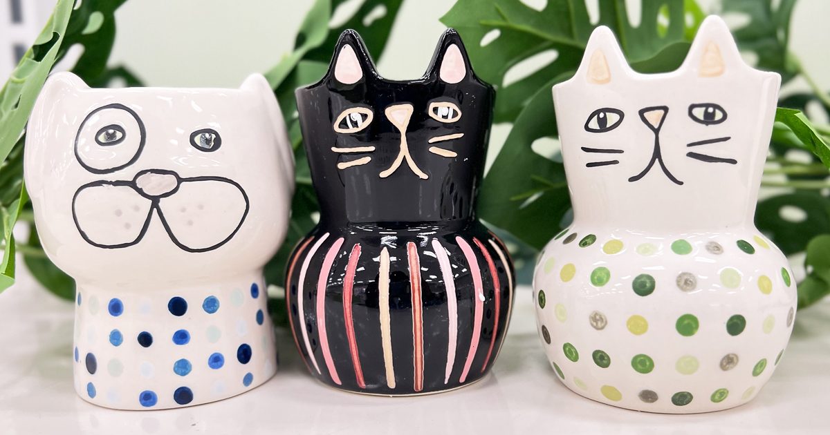 animax ointment dogs ears