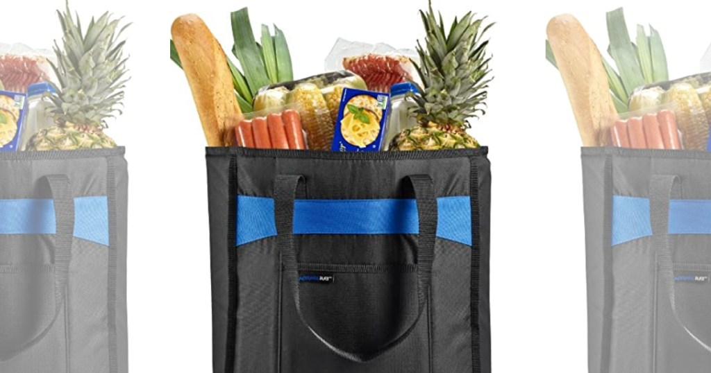 Tote Bag with groceries