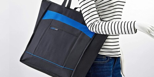 Rachael Ray Thermal Tote Bag Only $11 on Amazon | Insulated & Leakproof