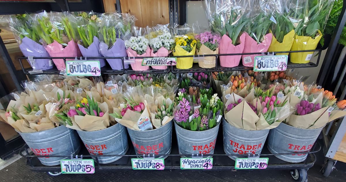New Trader Joes Spring Flowers from $2.99 | Bouquets, Succulents, Mini