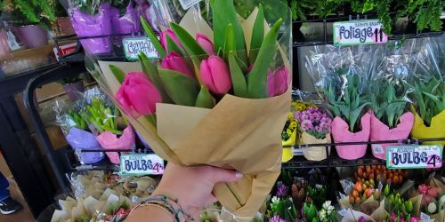 New Trader Joe’s Spring Flowers from $2.99 | Bouquets, Succulents, Mini Mums, & More