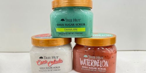 20% Off Tree Hut Sugar Scrubs at Target (In-Store & Online)