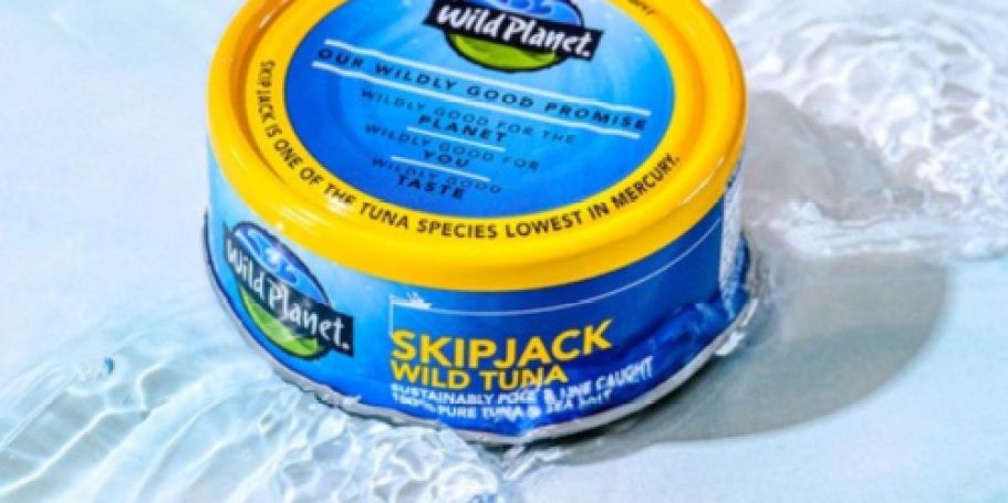 TWELVE Wild Planet Skipjack Tuna Cans Just $18 Shipped on Amazon