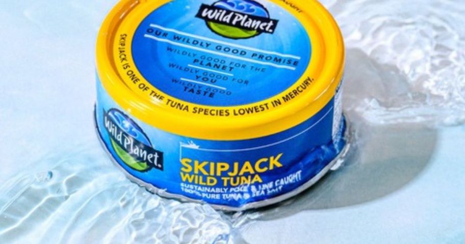 Wild Planet Skipjack Wild Tuna 5oz can in water