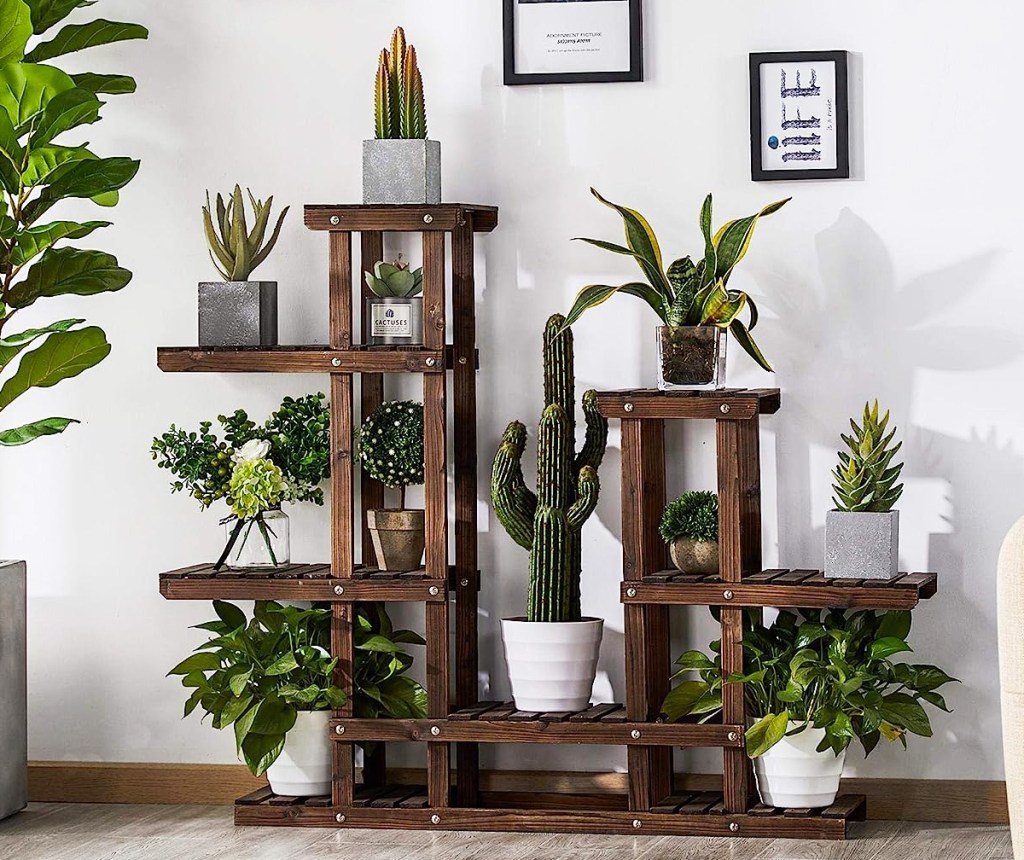 tons of potted plants displayed on a brown plant stand with multiple levels