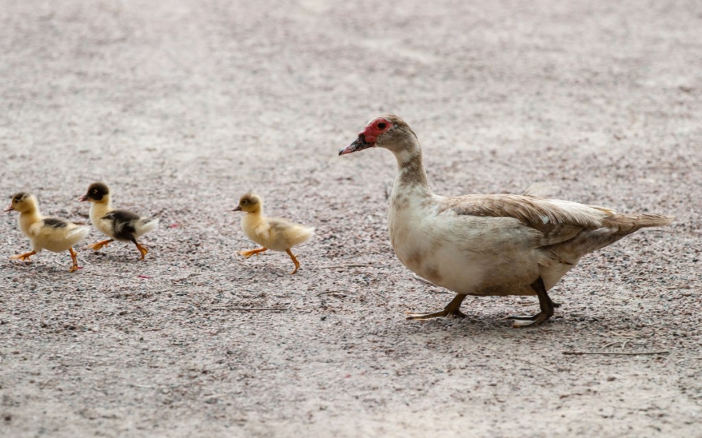 60 Unique & Weird Scholarships for College That Will Save You Tons