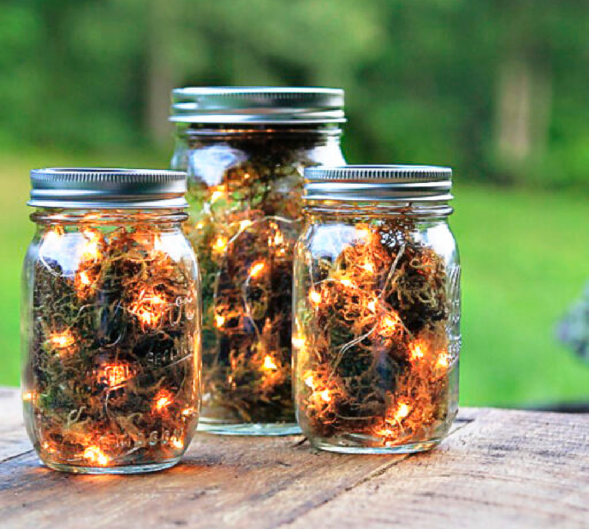 firefly lights by ashley hacksaw budget landscaping ideas