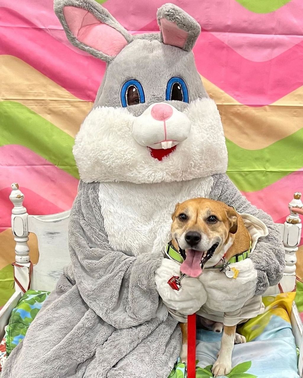 easter bunny with dog 