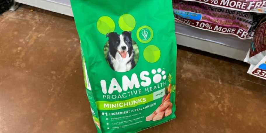 IAMS Dry Dog Food 30lb Bag Just $15.49 Shipped on Amazon (Reg. $47)