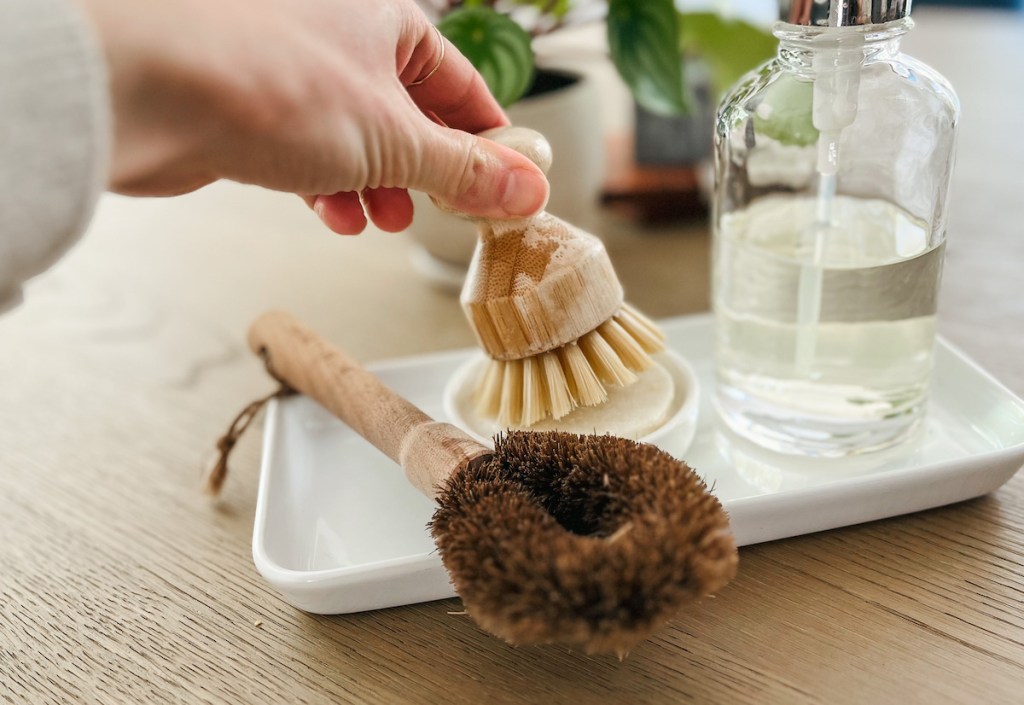 hand holding a dish brush in soap dish sustainable products and eco friendly products