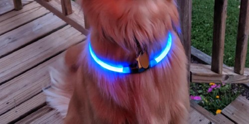 NiteHowl LED Dog Collar Only $5.49 on Amazon (Regularly $12)