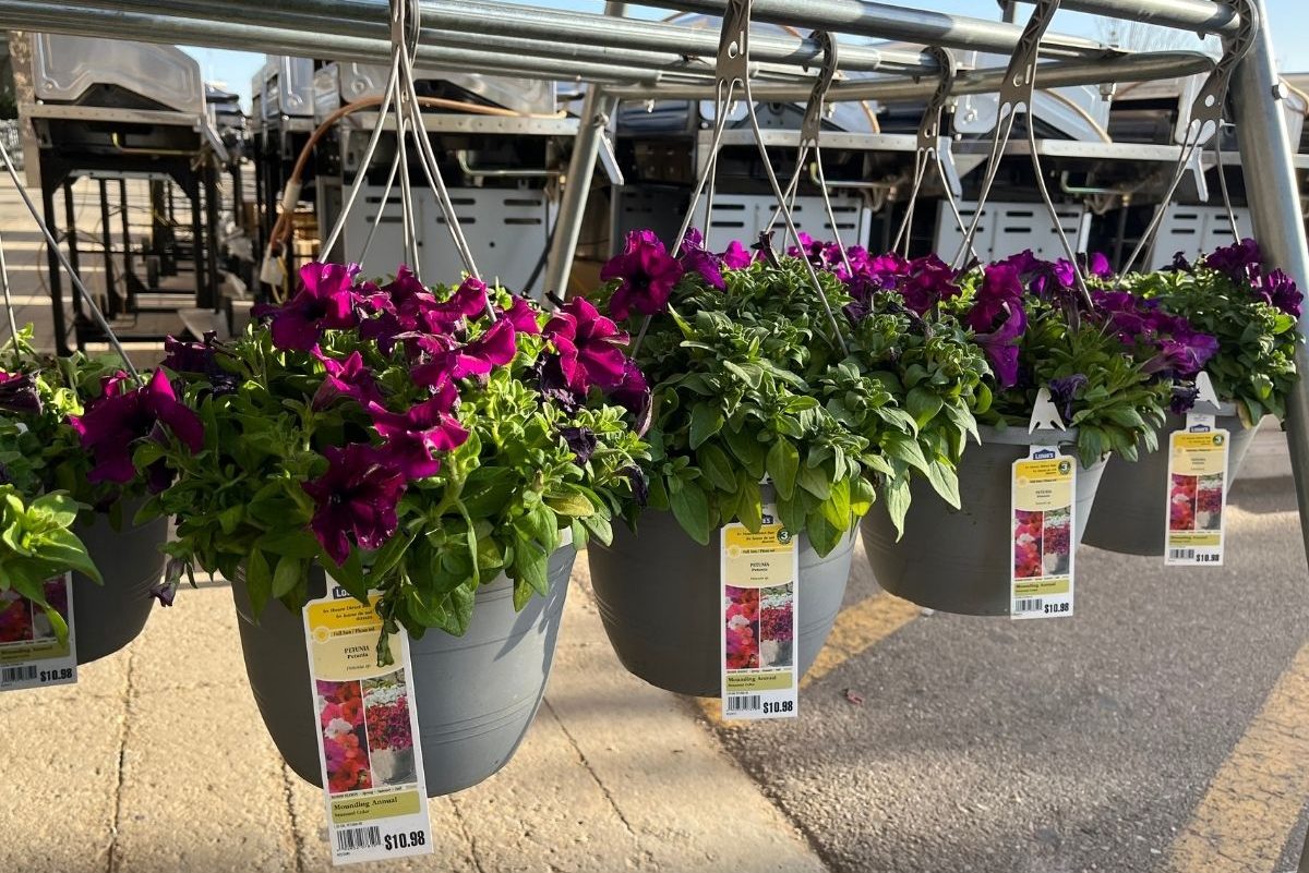 Lowe’s Annual SpringFEST Sale Is Returning for 2023 | Score Discounts On Spring Supplies!