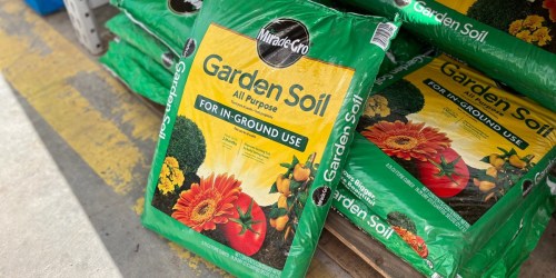 Miracle-Gro All Purpose Garden Soil Just $1.98 at Home Depot (Regularly $4.27) | Last Day to Save