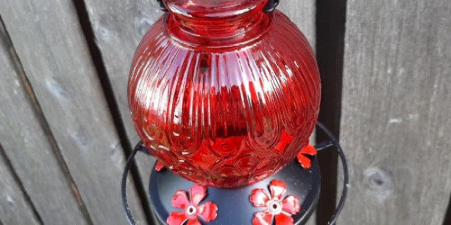Glass Hummingbird Feeder Only $10 on Amazon (Reg. $17)