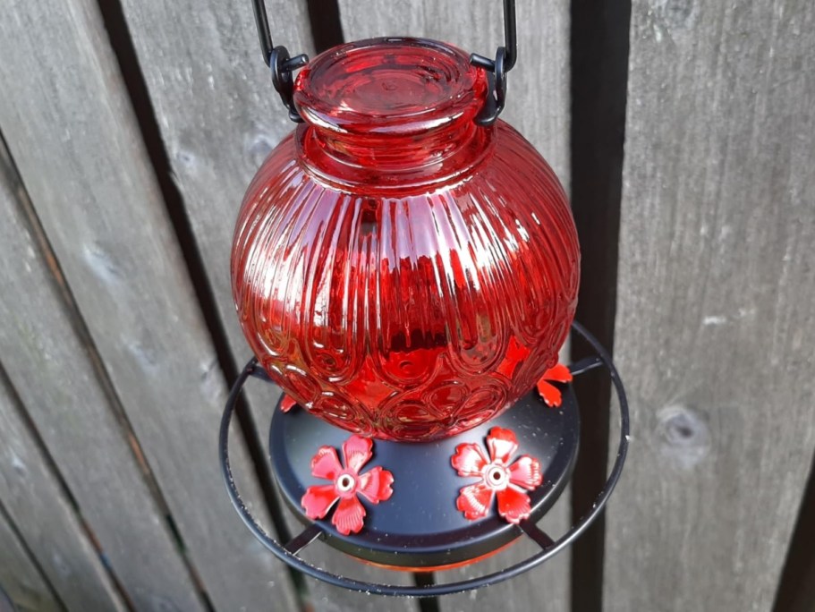 Glass Hummingbird Feeder Only $10 on Amazon (Reg. $17)