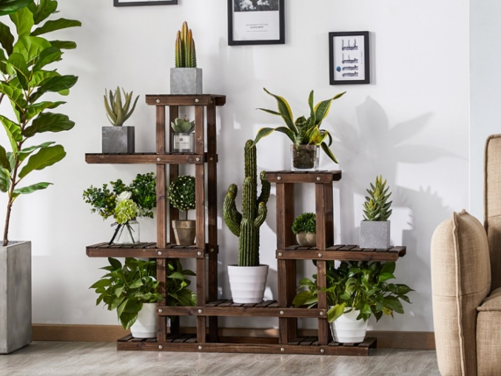 many plants on plant stand