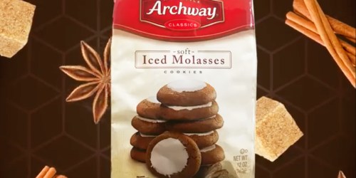 Archway Iced Molasses Cookies 12oz Bag Only $3 Shipped on Amazon