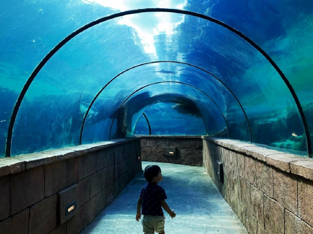 boy walking through aquarium at Atlantis Bahamas resort
