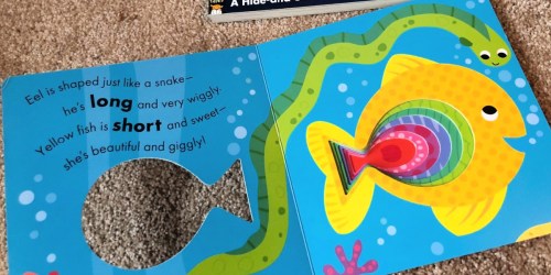 Big Fish Little Fish Interactive Board Book Only $2.97 on Amazon (Regularly $8)
