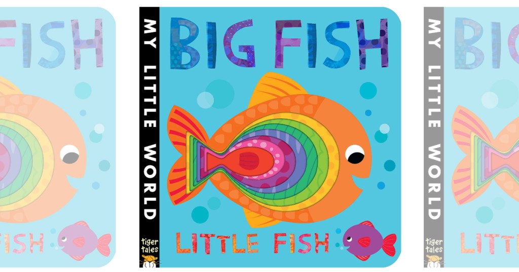 Big Fish Little Fish Board Book