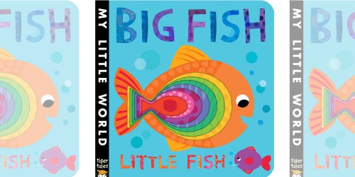 Big Fish Little Fish Board Book Only $2.97 on Amazon (Regularly $8)
