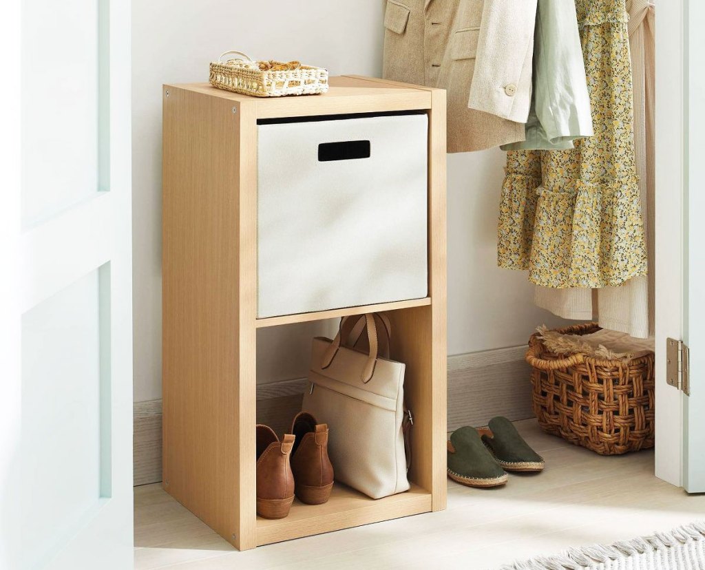 2 cube organizer with shoes and storage bin
