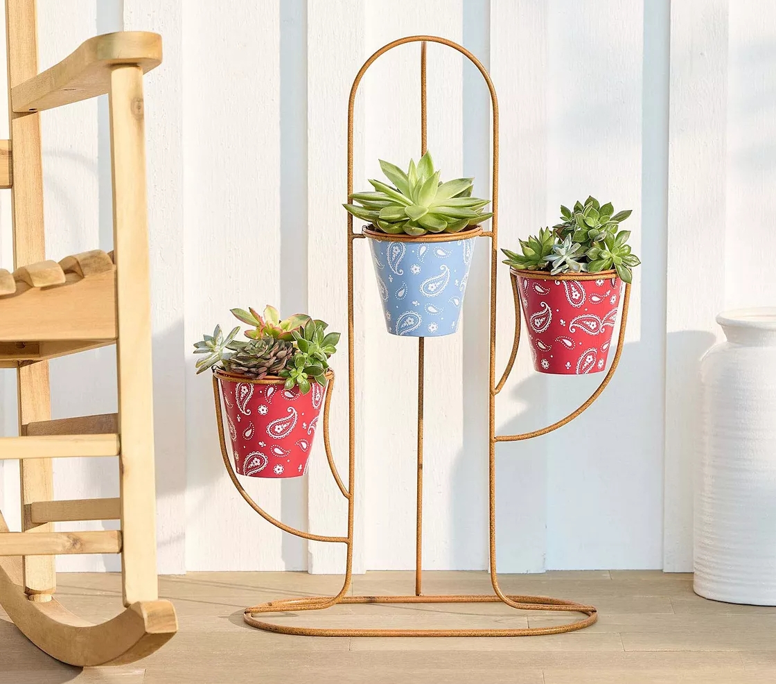 Plant stand that looks like a cactus and holds three pots