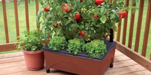 Raised Garden Bed w/ Wheels Just $23.98 Shipped on HomeDepot.com (Regularly $40)