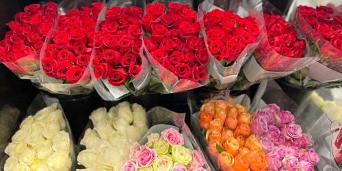 TWO Dozen Costco Mother’s Day Roses Only $18.99 | Just 79¢ Per Rose!