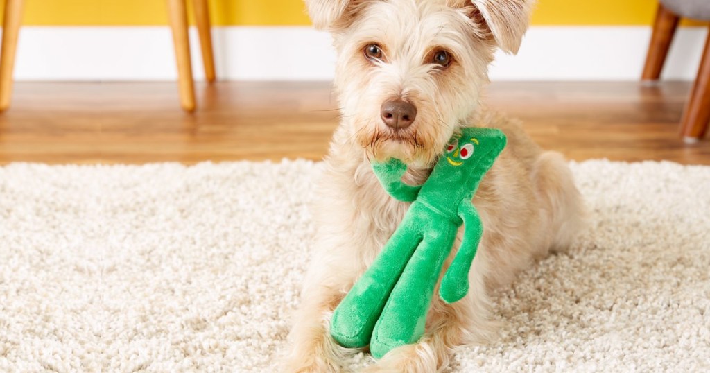 Dog with gumby