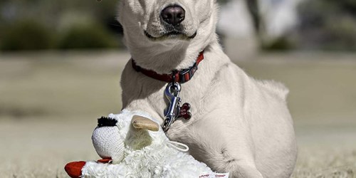 Multipet Lambchop Plush Dog Toy from $5.60 Each Shipped on Amazon + More Toys