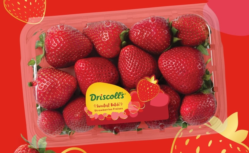 Driscoll's Sweetest Batch strawberries