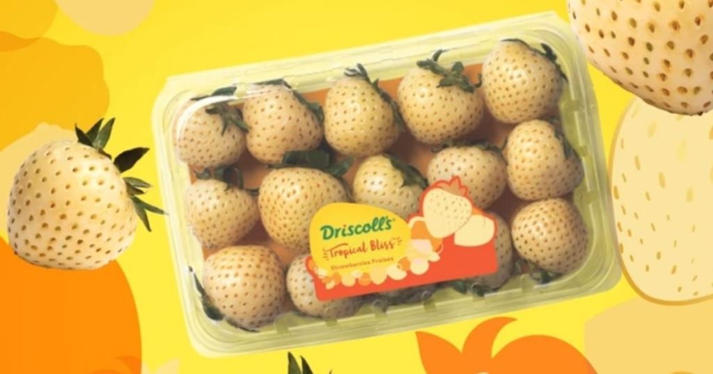 Driscoll's Tropical Bliss berries