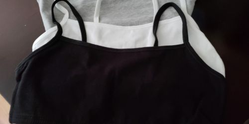 Fruit of the Loom Bras 3-Pack Only $9 on Walmart.com (Regularly $14)