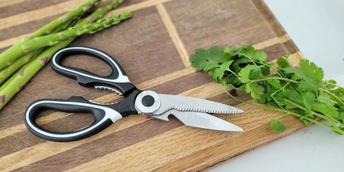 Stainless Steel Kitchen Shears Only $2.49 Shipped on Amazon | Easily Cut Herbs, Meat & More