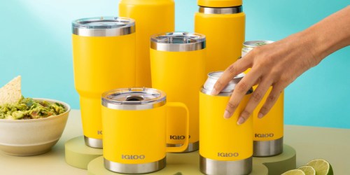 50% Off Igloo Drinkware + Free Shipping | Stainless Steel Bottles, Tumblers, & Mugs from $9.99