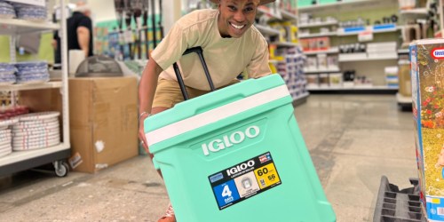 50% Off Igloo Products on Target.com | 16-Quart Roller Cooler Only $27.99 (Reg. $35)
