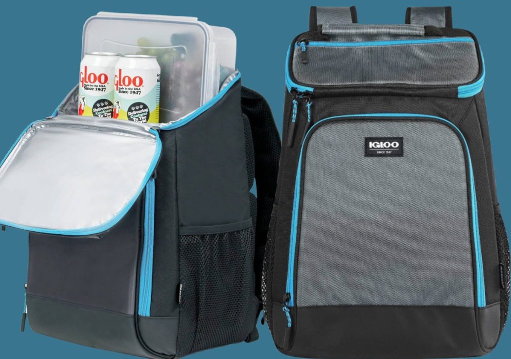 gray and blue cooler backpack